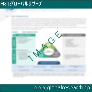 グローバルリサーチ調査レポートのイメージ